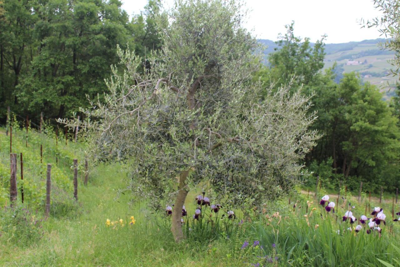 Agriturismo La Rovere Cossano Belbo Exterior photo